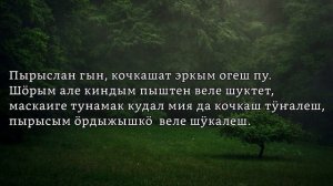 Аудиотекст на марийском языке. Елизар Янгильдин. Маскаиге