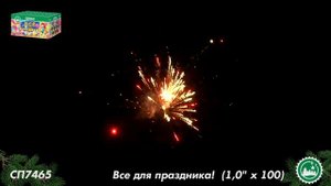 СП7465