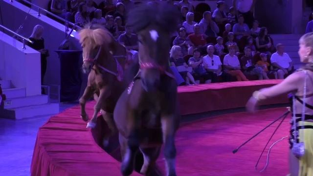 Империя львиц