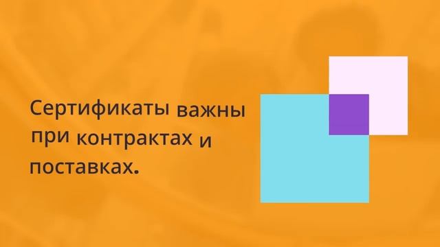 Как правильно хранить и использовать сертификаты на продукцию — sertex.org
