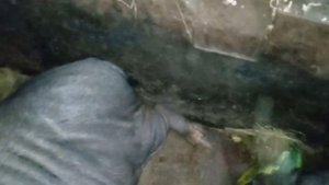 УРА УНАС  ПОПОЛНЕНИЯ Я ОЧЕНЬ РАД