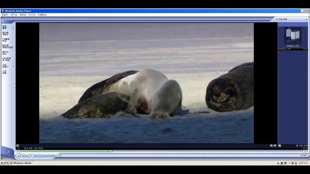 Windows 7 Video sample (Wildlife)