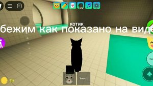 как получить нового кота в роблокс игра с котятами
