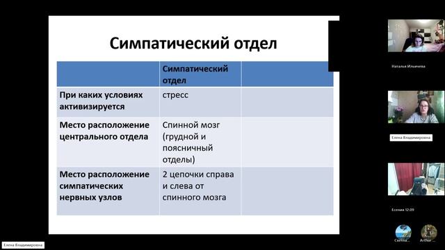 9 класс_3_9.10_Б_Вегет нерв сис