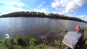 ЛИНЬ ЧУТЬ НЕ УТАЩИЛ УДОЧКУ! ЛОВЛЯ НА ФИДЕР НА ВОДОХРАНИЛИЩЕ.СЕЗОН ПРОДОЛЖАЕТСЯ!