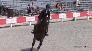 Hayley Anderson & Bombardier - IHJA Medal - A Finals - Sep 2017