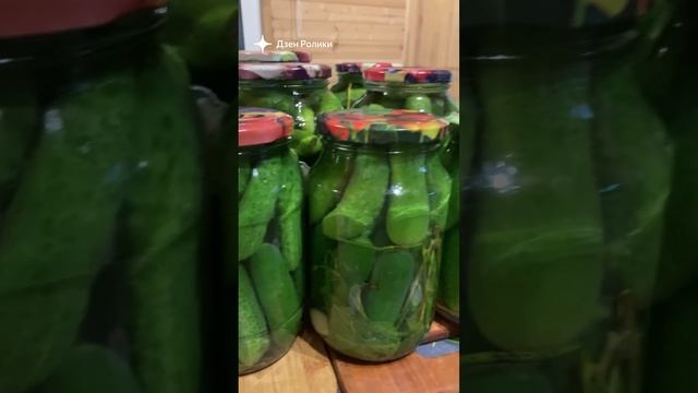 Последние огурчики упакованы
