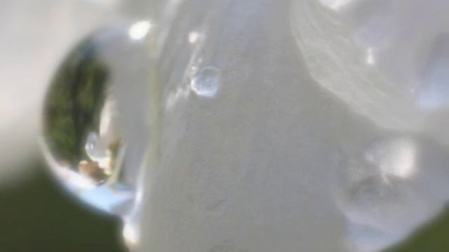 L.Ganne - ANDANTINO et Scherzo - LEA SIRK (16yrs) Slovenie смотреть онлайн