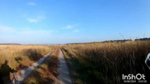 еду на птичий полет