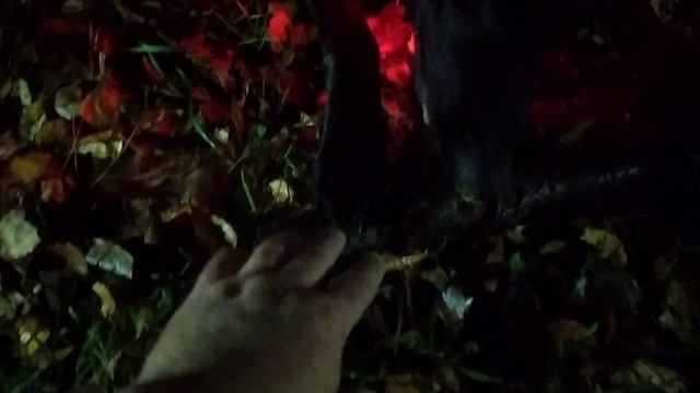 VID_20241009_230721.mp4 смотреть онлайн