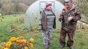 СЕГОДНЯ РАБОТАЕМ НА УЛИЦЕ. ПОРА ГОТОВИТЬСЯ К ЗИМЕ.