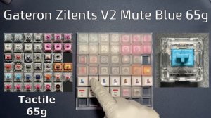 ❓👀Silent Switches Sound TestㅣReview ( Cherry MX Switches / Outemu & Gazzew / Gateron / Kailh etc. )