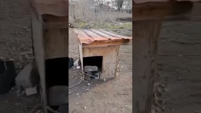 по утру