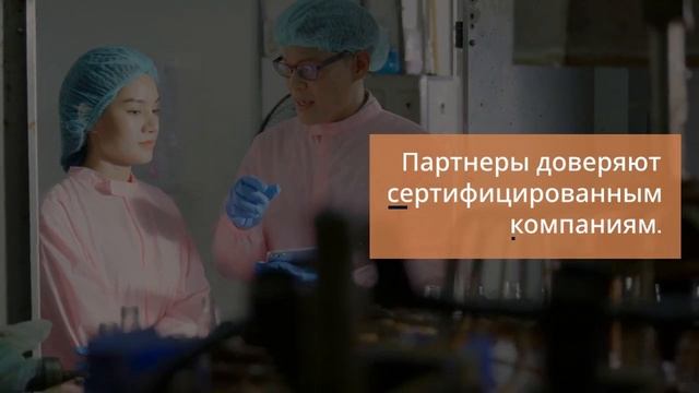 Как сертификация помогает минимизировать риски бизнеса — sertex.org