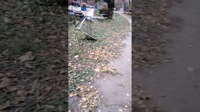реалайв