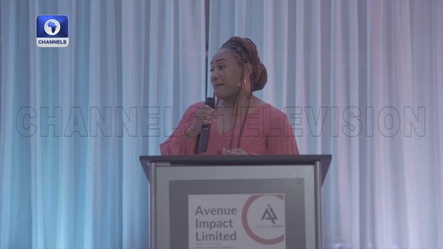 IT Professionals Empowering Businesses, Individuals To Thrive In Digital Age +More |Diaspora Networ
