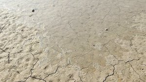 р.Кутамыш, вода наступает.