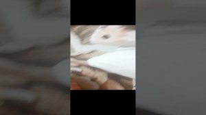 заражение 1сер 1сез