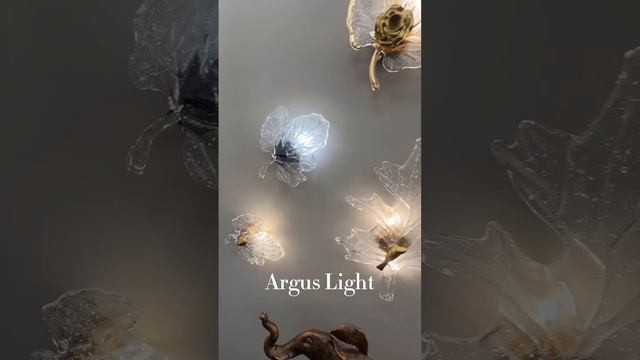 Не упустите возможность добавить элегантности и света в ваш дом с Argus Light! 💡