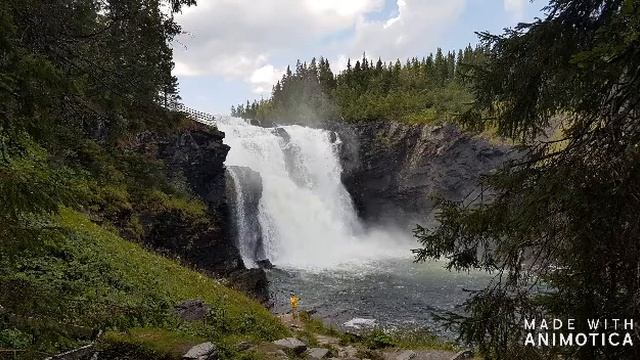 Profetisk rapport Vecka 1 2020 смотреть онлайн