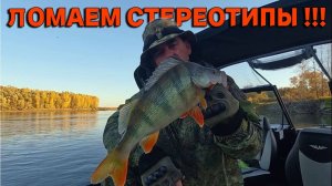 ЛОМАЕМ СТЕРЕОТИПЫ !!! Рыбалка на Оби 1 октября 2024г.