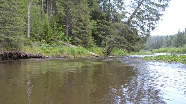 Сплав по реке Койва. смотреть онлайн