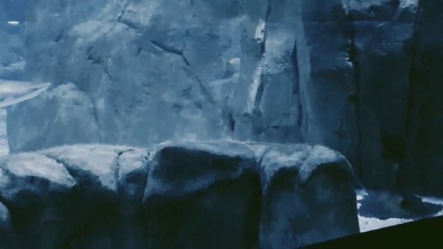 Exploring The Fascinating Florya Aquarium In Istanbul! смотреть онлайн