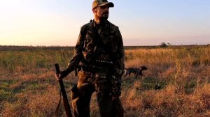 Охота с Курцхаарами Гильзой и Патроном на Фазана. ТОЗ-34.