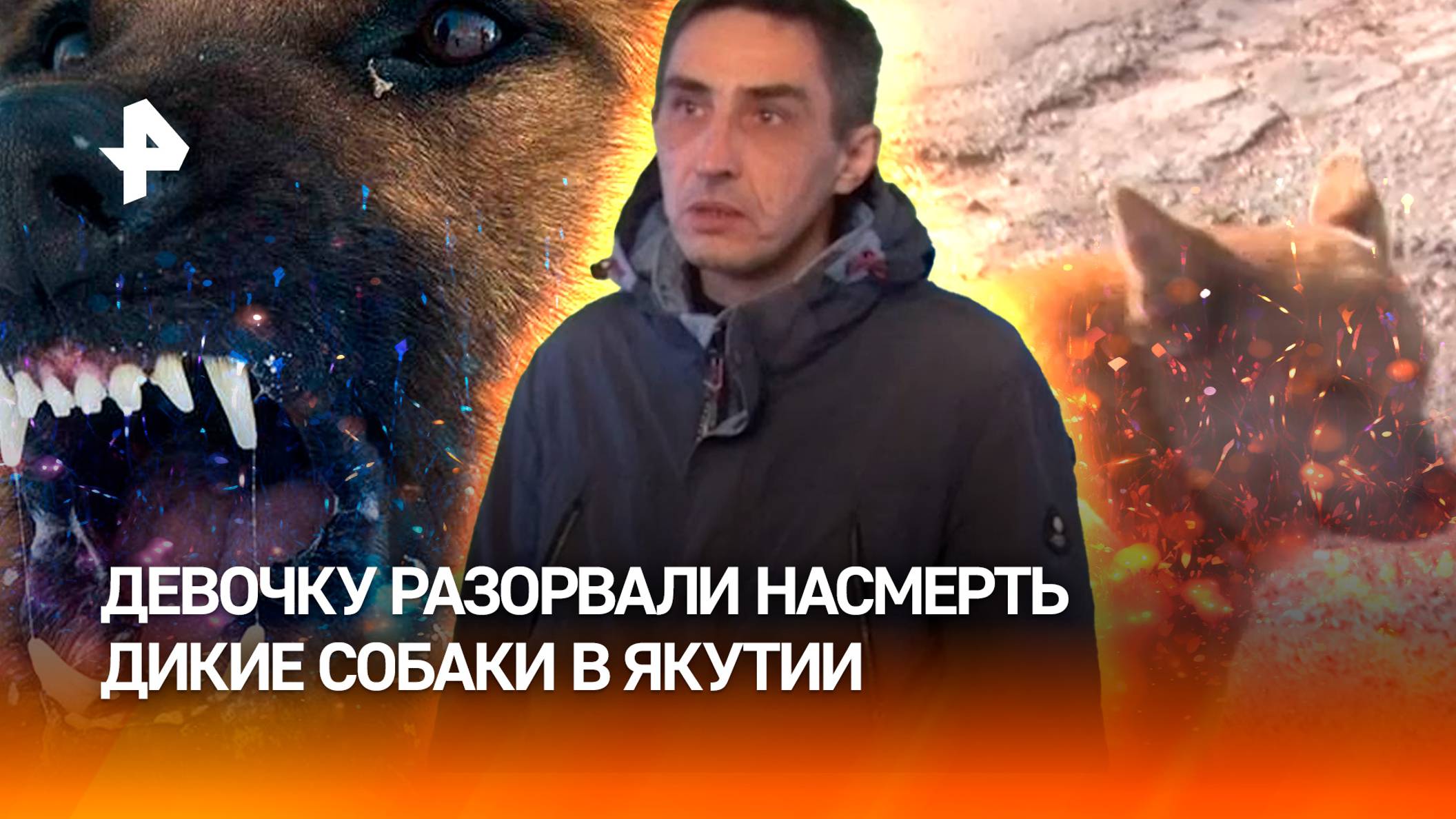 Не выдержало сердце: умерла девочка, покусанная стаей собак в Якутии. Диких псов боится весь поселок