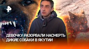 Не выдержало сердце: умерла девочка, покусанная стаей собак в Якутии. Диких псов боится весь поселок