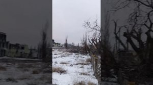 день победы. Якудза на связи