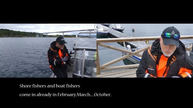 Honda fiskebåt Arronet i Saltstraumen, Norge med utombordsmotor BF250 смотреть онлайн