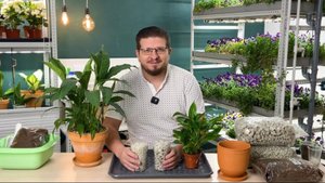 Высадка растений по системе «умный горшок» на основе пеностекольного субстрата GrowPlant