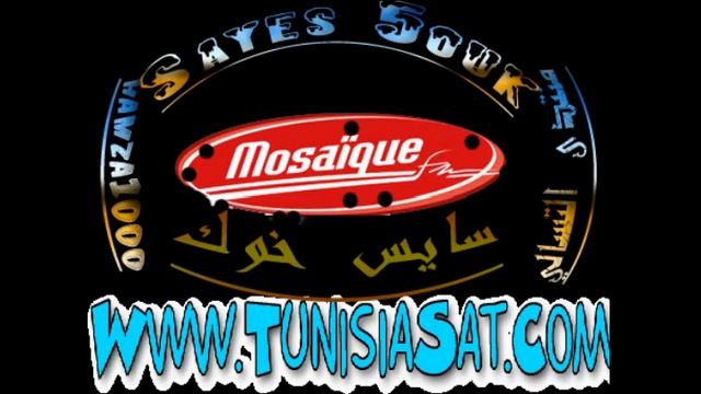 Ben Ali demande un conseil électoral à Ahmed Ounaïes смотреть онлайн