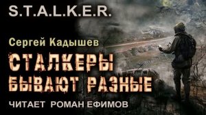 S.T.A.L.K.E.R. Сталкеры бывают разные (аудиокнига). ФАНТАСТИКА. Сергей Кадышев. Читает Роман Ефимов.