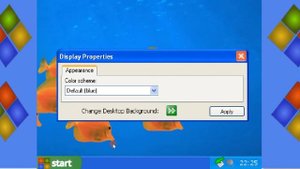 Microsoft Windows XP 2021 edition SCRATCH