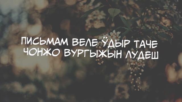 Станислав Шакиров - Какшан сер ӱмбалне ломбо. Текст песни смотреть онлайн