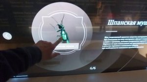 Музей военно-морской славы России Кронштадт