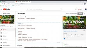 Free Screen Video Recorder