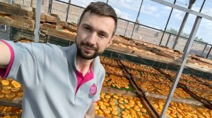 Как производят сухофрукты в Армении для "Живого выбора"?