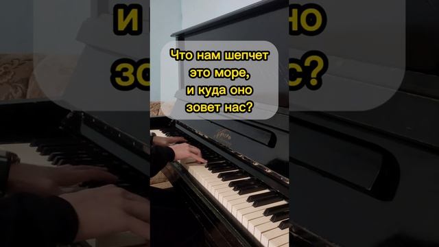 ПИРАТЫ КАРИБСКОГО МОРЯ (Пусть пугает грозный ветер начинается гроза)