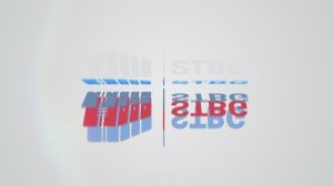 Логотип компании //  STBG Logo - TransRussia 2024