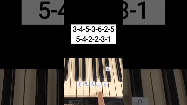 HOW TO PLAY NARUTO ON THE PIANO!? | PIANO BY NUMBERS #shorts