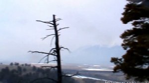 Буряад арадай поэт Галина Базаржапова шүлэгөө уншана