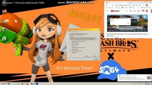 Windows 7 Ultimate PRO BSOD Part 9