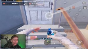 ЗОНГ, КУРТИМ НОВЫХ ПИТОМЦЕВ 🐺🐱🐶