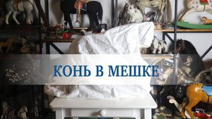 конь в мешке