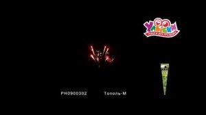 РН0900302 Тополь м