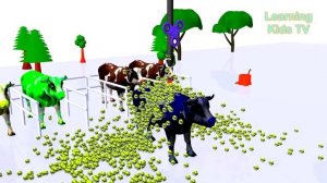 Larn Colors for Children with with Color Cows and Magic colorful Balls  Toys and Animals For Kids.