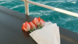 20606419-uhd_2560_1440_24fps